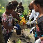 Michigan AfterSchool Association Kids planting vegetables in greenhouse