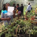 Michigan AfterSchool Association Kids Growing Tomatoes in Greenhouse