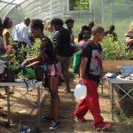 Michigan AfterSchool Association Kids Growing Plants in Greenhouse